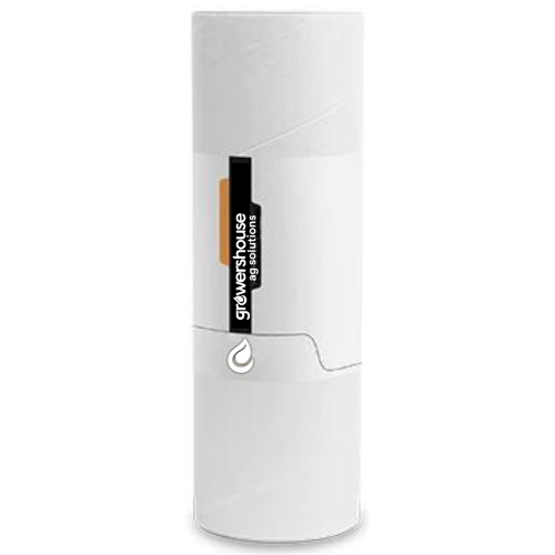 Amblyseius swirskii Predatory Mites – Control for Whiteflies, Thrips & Broad Mites
