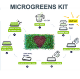 ZestiGreens Hemp Grow Mats – 10-Pack Microgreen Mats