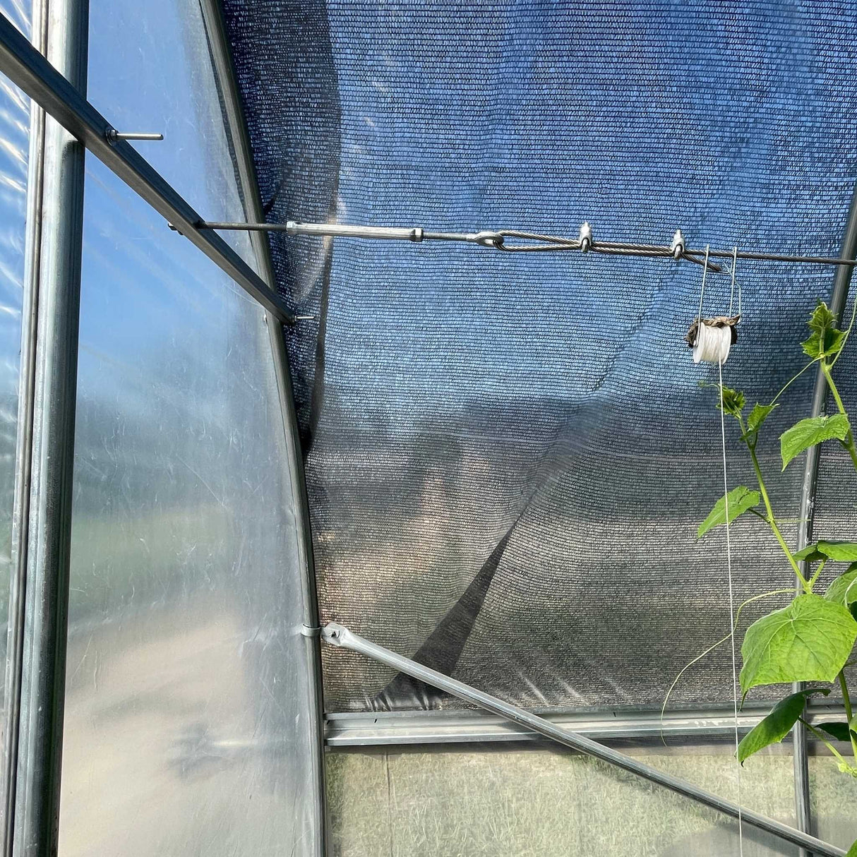 Complete Trellising System for Hoop Houses