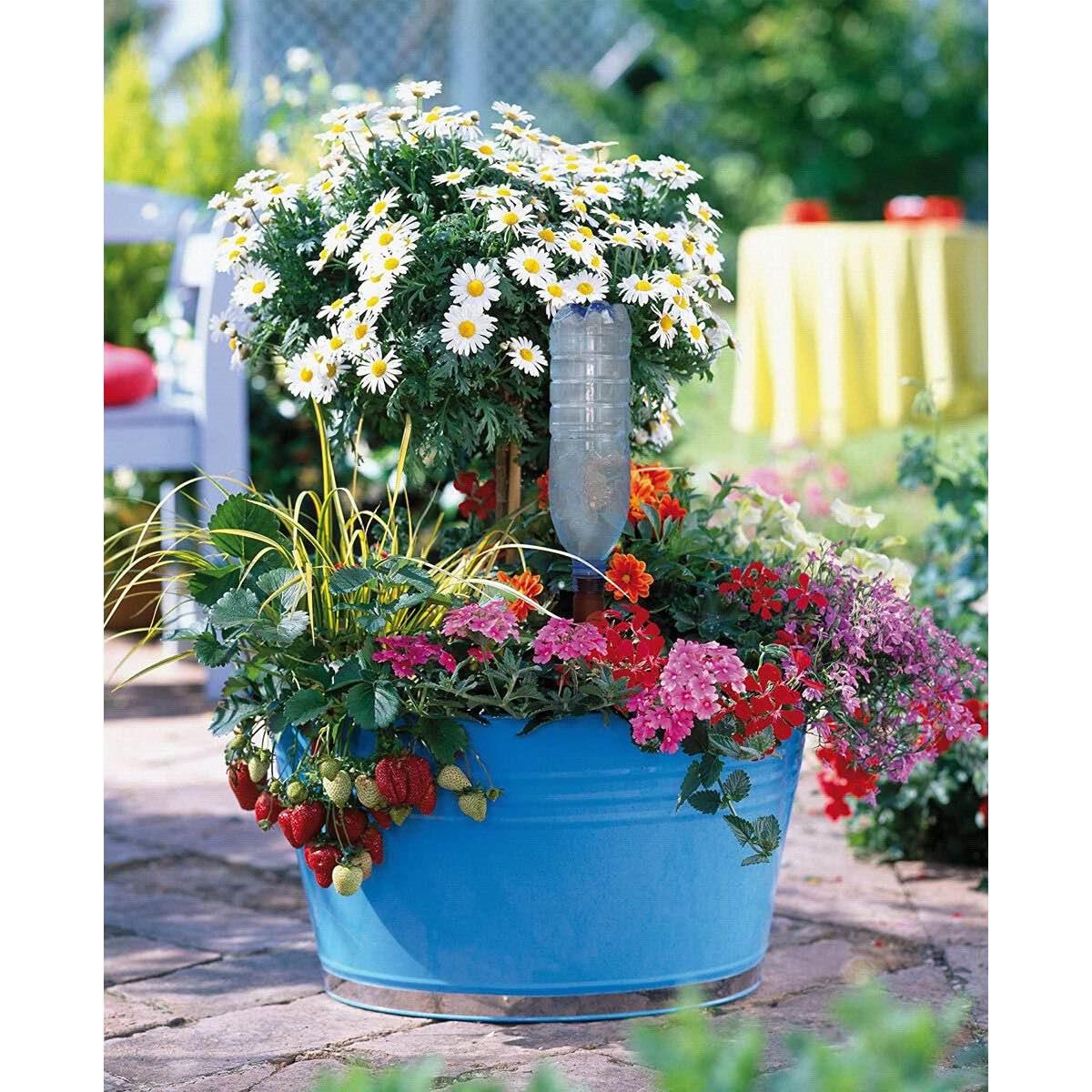 Blumat Bottle Adapter XL - Thumbnail 2