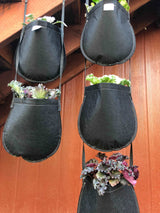 GeoPot Hanging Garden Plant Pouches