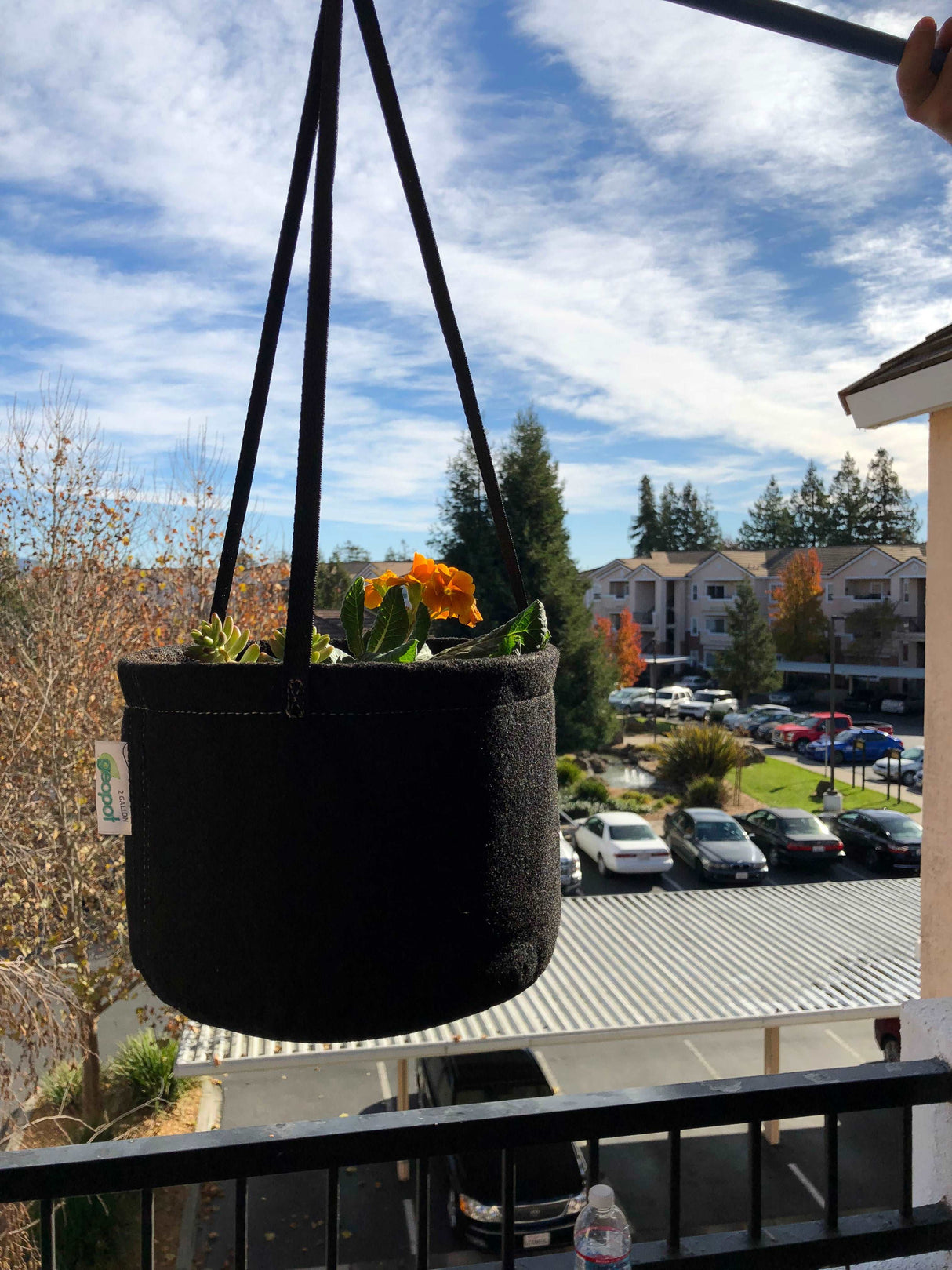 GeoPot Hanging Garden Basket