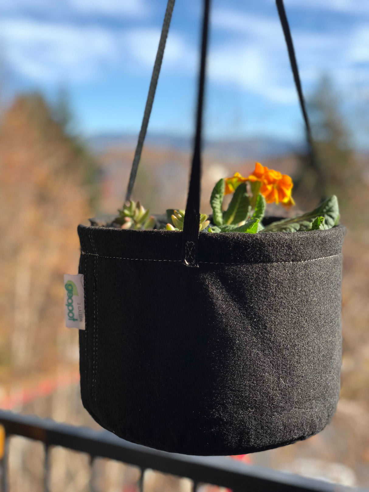 GeoPot Hanging Garden Basket