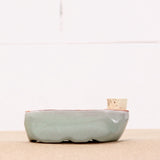 Sixie Self Watering Seed Pot