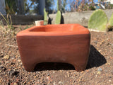 Microgreen Kit, Zero Waste and Self Watering