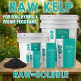 RAW Kelp – 99% Ascophyllum Nodosum Water-Soluble Extract