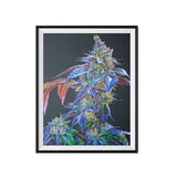 Khalifa Kush 18"x24" Poster