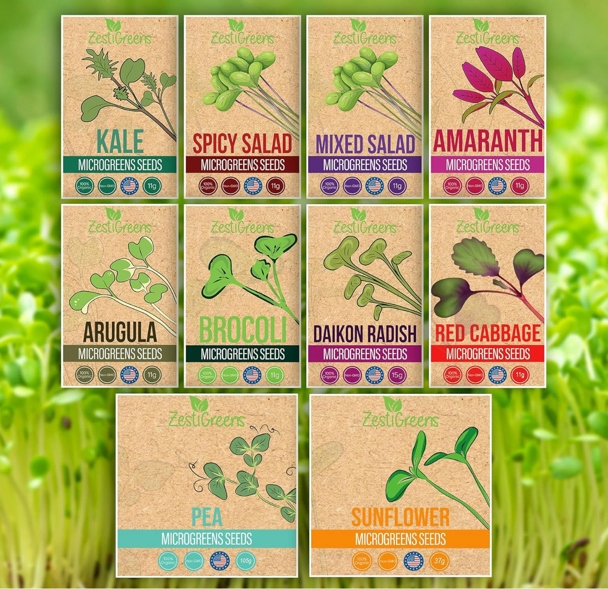 ZestiGreens Organic Microgreen Seeds – 10 Variety Pack