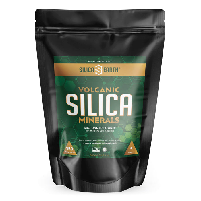 Silica Earth Volcanic Silica Minerals Micronized Powder