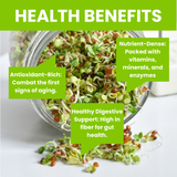 ZestiGreens Organic Sprouting Seed Mix – Broccoli, Radish & More