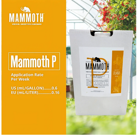 Mammoth P product packaging with application rate details on an orange background