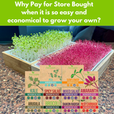 ZestiGreens Organic Microgreen Seeds – 10 Variety Pack