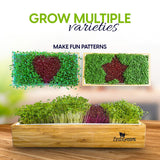 ZestiGreens Self-Watering Microgreens Growing Kit