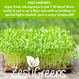 ZestiGreens Organic Microgreen Seeds – 10 Variety Pack