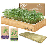 ZestiGreens Self-Watering Microgreens Growing Kit
