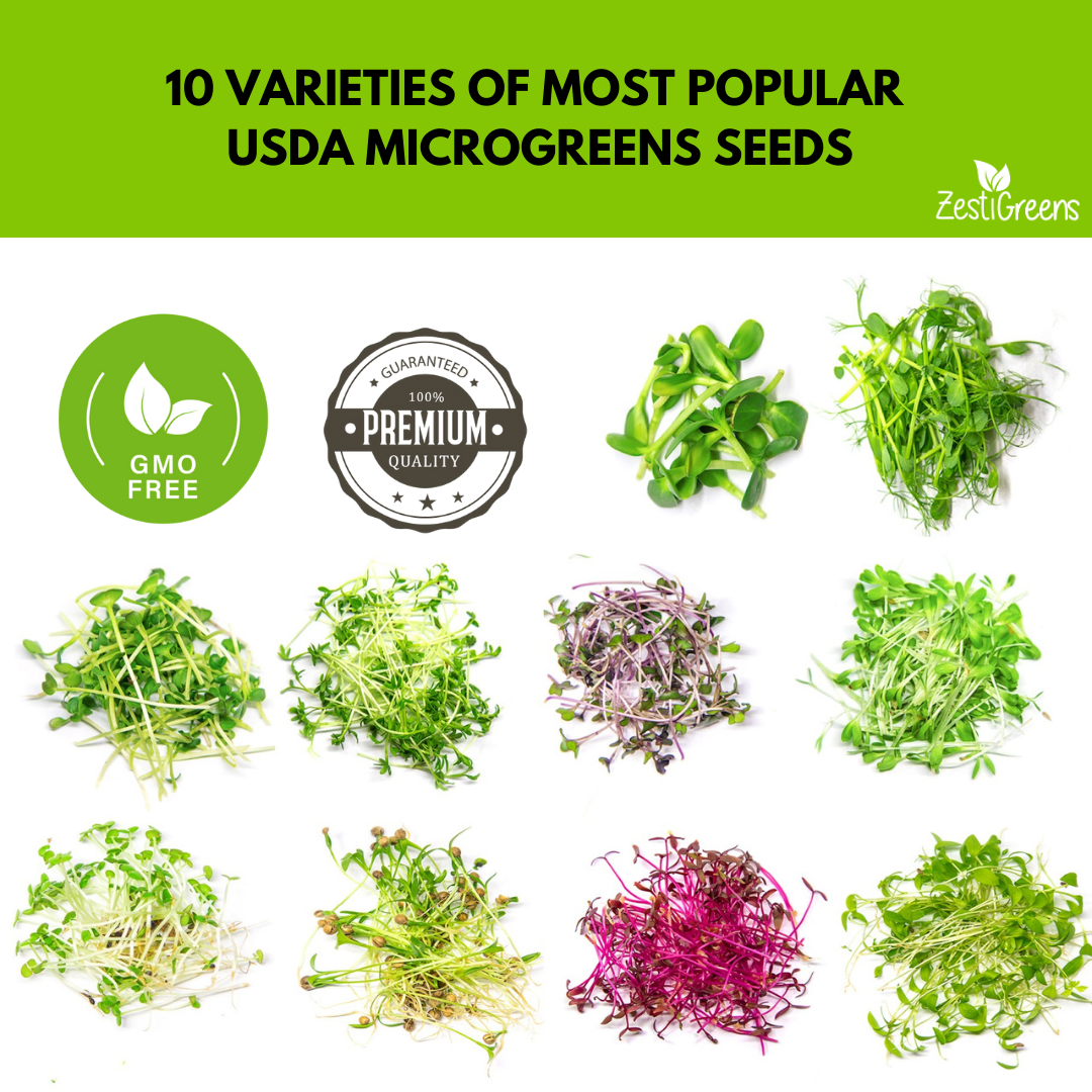 ZestiGreens Organic Microgreen Seeds – 10 Variety Pack