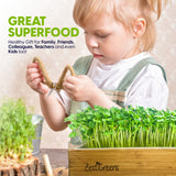 ZestiGreens Self-Watering Microgreens Growing Kit