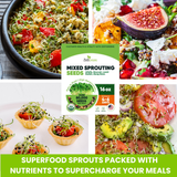 ZestiGreens Organic Sprouting Seed Mix – Broccoli, Radish & More