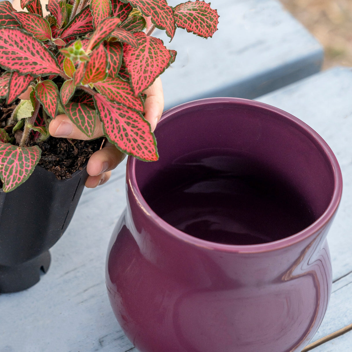 Violet Purple Ceramic Plant Pot with Removable Liner