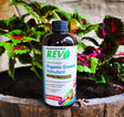 Organic REV Liquid Plant Food 16oz bottle with plant behind