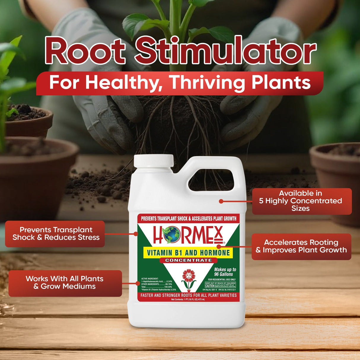 Hormex Vitamin B1 Rooting Hormone Concentrate – Root Growth Stimulator