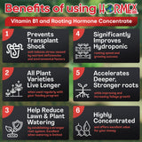 Hormex Vitamin B1 Rooting Hormone Concentrate – Root Growth Stimulator