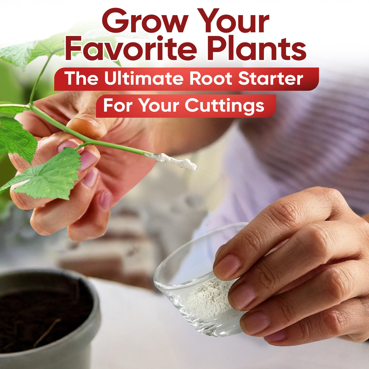 Hormex Rooting Powder #3 (0.30% IBA) – Rooting Hormone for Plant Cuttings