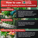 Hormex Vitamin B1 Rooting Hormone Concentrate – Root Growth Stimulator