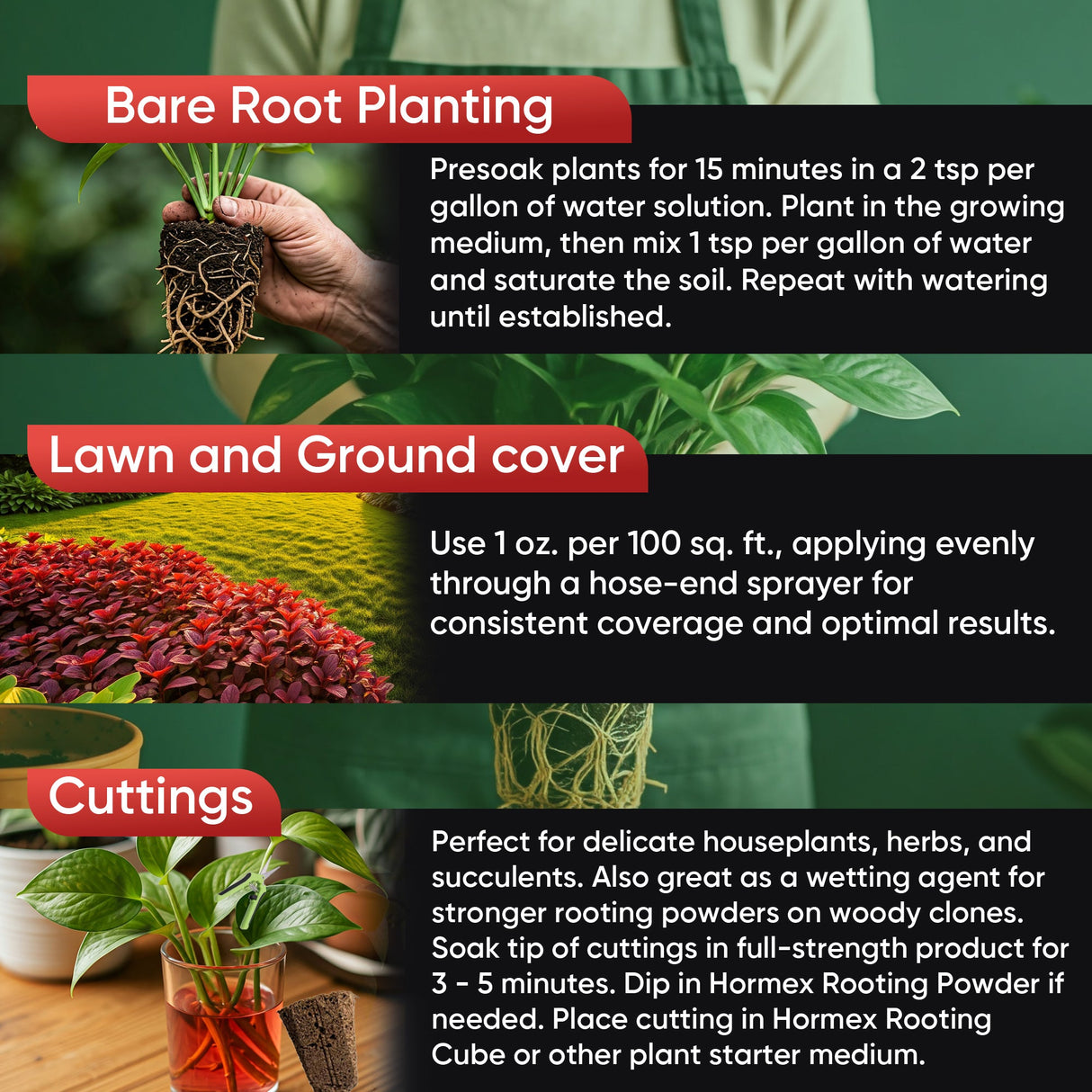 Hormex Vitamin B1 Rooting Hormone Concentrate – Root Growth Stimulator