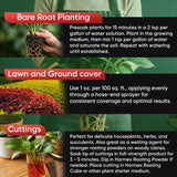 Hormex Vitamin B1 Rooting Hormone Concentrate – Root Growth Stimulator