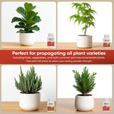 Hormex Rooting Powder Pack #8 & #16 – 0.75 oz Each (2-Pack)