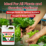 Hormex Vitamin B1 Rooting Hormone Concentrate – Root Growth Stimulator
