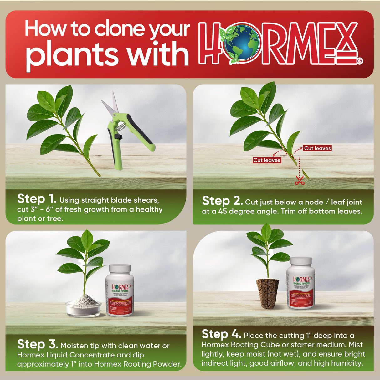 Hormex Rooting Duo – Vitamin B1 Concentrate (8 oz) + Rooting Powder #8 (21g)