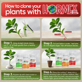 Hormex Rooting Powder Pack #1, #3, #8 – 0.75 oz Each (3-Pack)