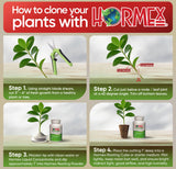 Hormex Rooting Powder #1 (0.10% IBA) – Rooting Hormone for Softwood Cuttings