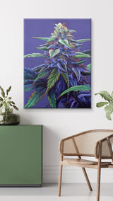 Purple Haze 18"x24" Poster