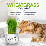ZestiGreens Cat Grass Mug Growing Kit – Ceramic Planter with Organic Wheatgrass Seeds
