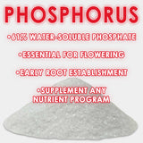RAW Phosphorus – Water-Soluble Phosphate Supplement