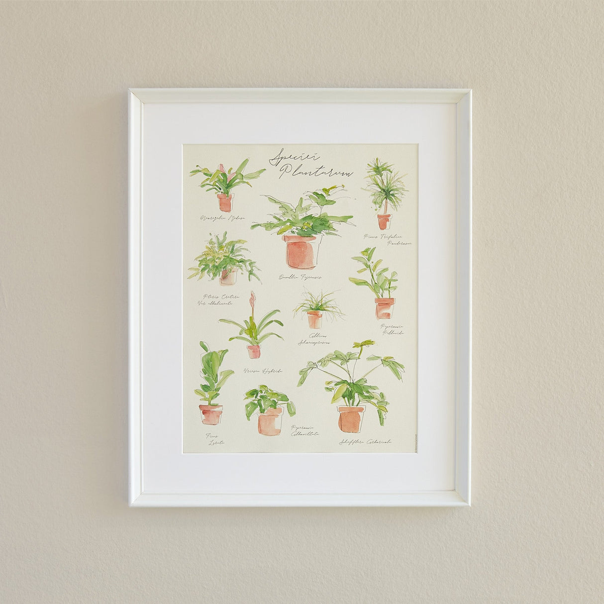 Plant Species Poster – Watercolor Botanical Art by Veronica Schmitt