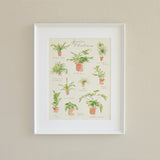 Plant Species Poster – Watercolor Botanical Art by Veronica Schmitt