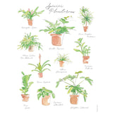 Plant Species Poster – Watercolor Botanical Art by Veronica Schmitt