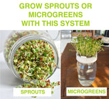 ZestiGreens Jar Sprouting Kit – 2 Glass Jars & Stand