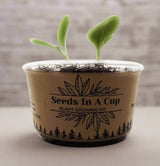Broccoli | Plant Seed Starter Grow Kit | Seeds In A Cup®
