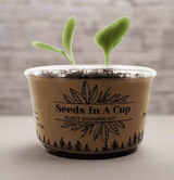 Jalapeño Plant Grow Kit  |  Seeds In A Cup® |