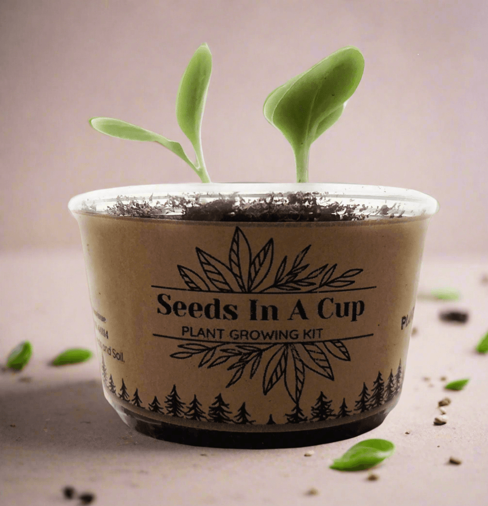 Jalapeño Plant Grow Kit  |  Seeds In A Cup® |