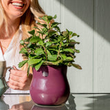 Violet Purple Ceramic Plant Pot with Removable Liner