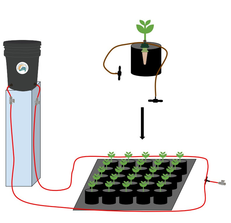 Blumat Ready, Set, Grow Kits