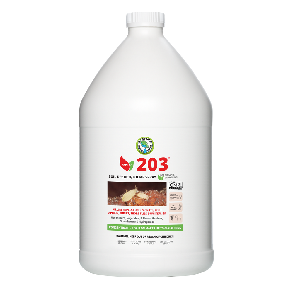 A white gallon-sized bottle of Sierra Natural Science SNS 203 Pesticide Concentrate with product information and branding on the label.