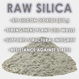 RAW Silica – 45% Silicon Dioxide Biogenic Silica Supplement