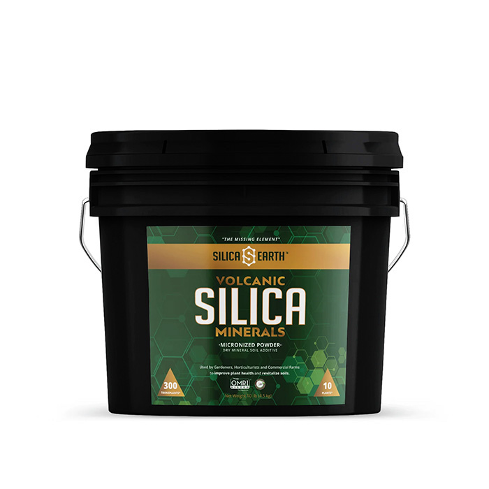 Silica Earth Volcanic Silica Minerals Micronized Powder